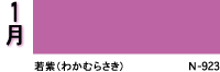 1月：若紫（わかむらさき）N-923